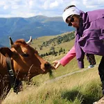 De La Pieviche Appartement