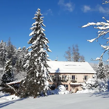 De La Pieviche Appartement