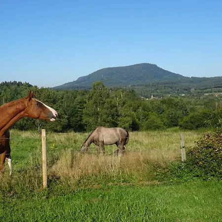 De La Pieviche Apartment *