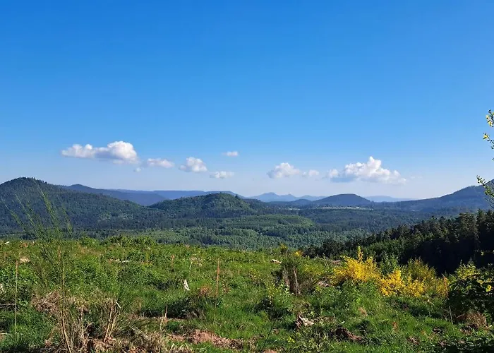 De La Pieviche * Provencheres-sur-Fave