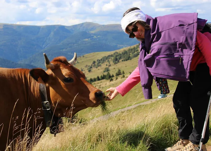 De La Pieviche Apartment