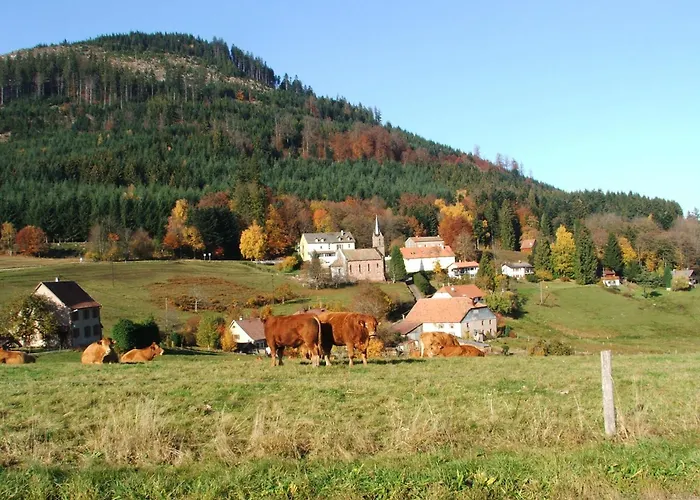 De La Pieviche * Provencheres-sur-Fave
