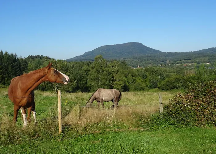De La Pieviche Apartment *