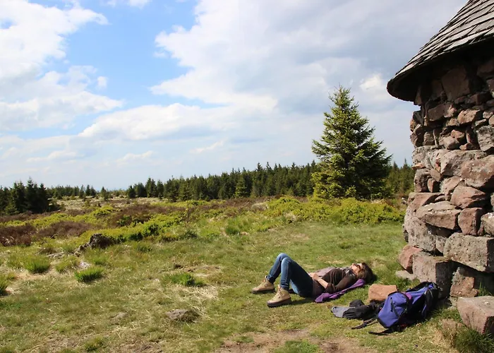 De La Pieviche * Provencheres-sur-Fave