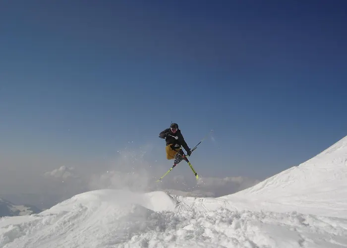 De La Pieviche Apartment Provencheres-sur-Fave